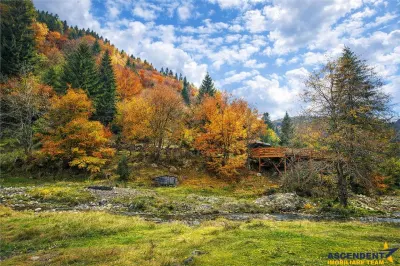Teren intravilan panoramic 4.600 mp, view iconic Piatra Craiului, oportunitate Premium - foto 3