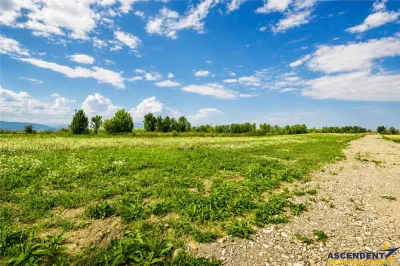 6 parcele cu autorizatie de construire si proiect aprobat: Stupinii Prejmerului, Brasov - foto 7