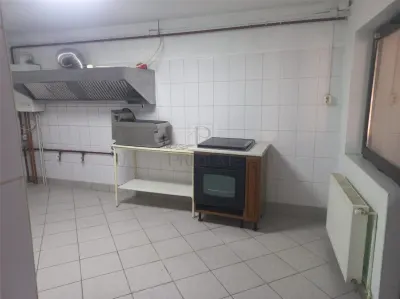 Spatiu comercial - zona excelenta - centrala proprie - trifazic - trafic pietonal - foto 2