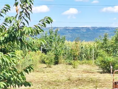 Casa 3 camere, 75 mp utili – Letea Veche | Teren 250 mp - foto 7