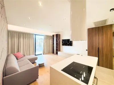 Apartament de inchiriat 2 camere One Herastrau Vista - foto 5