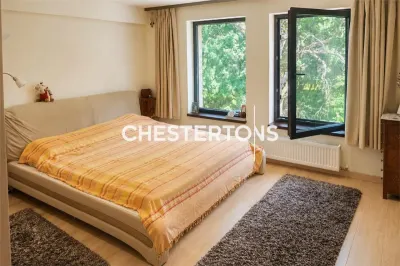 Vila individuala Branesti, 6 camere, vedere directa catre padure - foto 5