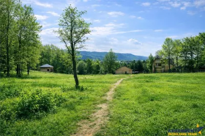 3.000mp de incantare montana cu cabana din lemn masiv, Zarnesti Tohanita - foto 4