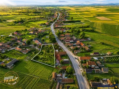 FILM! 2.700mp teren cu casa personalizabila, pomi fructiferi,langa Sfantu Gheorghe: Santionlunca - Santionlunca