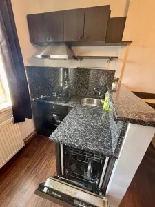 Apartament 3 camere | Calea Aradului | 80 mp | Mobilier din lemn masiv | 2 Bai | - foto 5