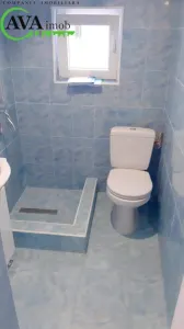 Proprietate ideala pentru familie extinsa sau investitie – Serbanesti, Bacau - foto 20