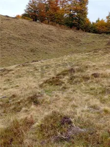 RECO Teren extravilan la Cresuia, Stana de Vale - foto 3