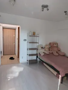 Garsonieră de închiriat, Centru – Hala Centrală, 25 mp, centrală și aer condiționat - Iasi