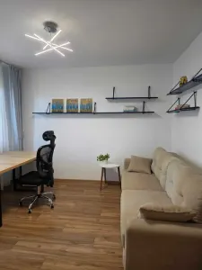 Apartament 3 camere de închiriat, renovat integral, Podu Roș – Bd. Socola - foto 8