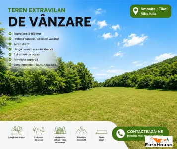 TEREN EXTRAVILAN DE VANZARE | PRETARE CABANE I AMPOIȚA  TĂUȚI | 3.453 MP | - Ampoita