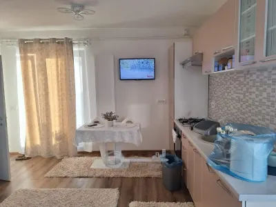 Penthouse cu terasă de 70 mp | 2 camere | Bloc nou | Nicolina – CUG - foto 2