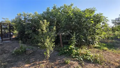 Casa Pustinis 2 camere - foto 23
