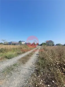 Teren Costinesti 1000 mp, Aproape de Plaja si de Nibiru, Ideal Investitie - foto 3