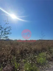 Teren Costinesti 1000 mp, Aproape de Plaja si de Nibiru, Ideal Investitie - foto 5
