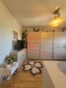 Apartament Modern 2 Camere la Mansarda, Poarta 6 - foto 8