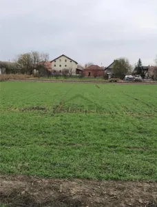 EXCLUSIVITATE ! Casa pe 3 etaje de vanzare in Cenad la pret de apartament, comision 0% - foto 4
