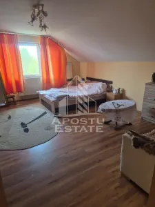Vila D+P+1E in Lipovei … pozitie foarte buna - foto 2