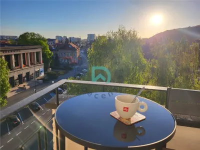 Ultracentral, Priveliste superba , pretabil regim hotelier - foto 12