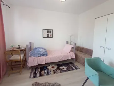 Apartament 2 camere de închiriat – Podu Roș | 2 minute de Palas - foto 2