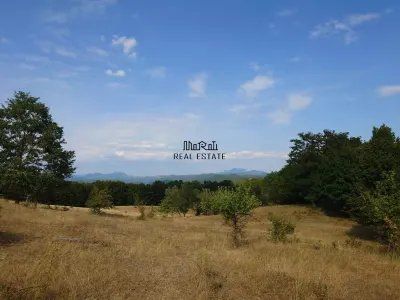 Teren 9.059 mp la liziera padurii, cu priveliste spre Apuseni - Brad