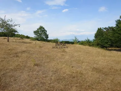 Teren 9.059 mp la liziera padurii, cu priveliste spre Apuseni - foto 6