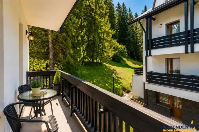 Sectiunea Distinct! Imobiliar& Transfer Business in inima statiunii Poiana Brasov, Romania - foto 7