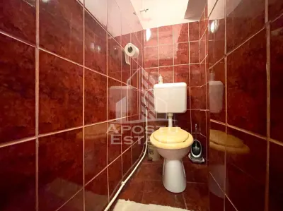 Apartament decomandat, 2 camere curte comuna - Zona Piata Sarbeasca - foto 9