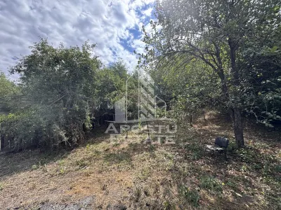 Casa batraneasca cu 3 camere si teren de 841mp, in Racastie, Hunedoara - foto 20