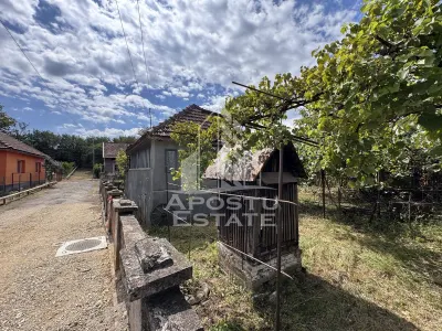 Casa batraneasca cu 3 camere si teren de 841mp, in Racastie, Hunedoara - foto 10