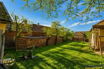 FILM! Casa si anexe, pe domeniu de 6.221mp,  livada pomi fructiferi, Lemnia, Covasna - foto 15