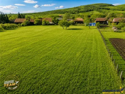 FILM! Casa si anexe, pe domeniu de 6.221mp,  livada pomi fructiferi, Lemnia, Covasna - foto 4