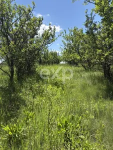 Teren 2.200 mp | 11 km de Pitești | Vanzare integral sau parcelă de 500 mp - foto 7