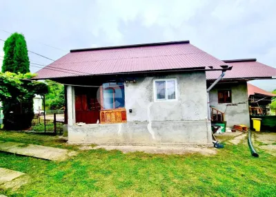 Casă de vânzare în Nucșoara – Sboghițești, teren 2400 mp - foto 2