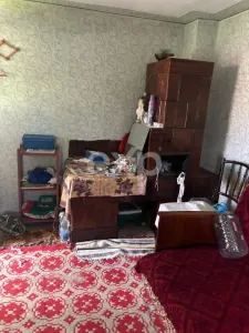 Casă la țară | Com Cocu | cu teren 3940 mp și livadă – zonă liniștită - foto 8