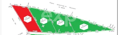 Teren extravilan 154.047 mp | Deschidere A1 Pitești – București | Căteasca - foto 2