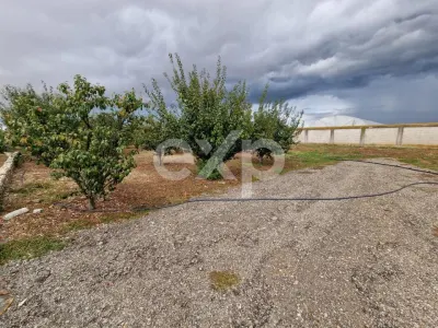 Teren de vanzare  intravilan 700 mp + 800mp livada  Racovița (DB) - foto 3