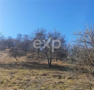 Teren intravilan Valea Româneștilor – 4614 mp, utilități la limită, Campulung - foto 4