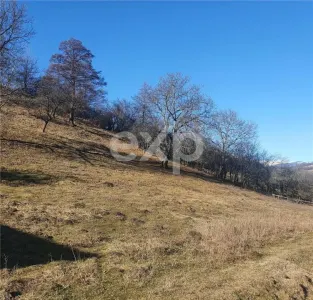 Teren intravilan Valea Româneștilor – 4614 mp, utilități la limită, Campulung - foto 9