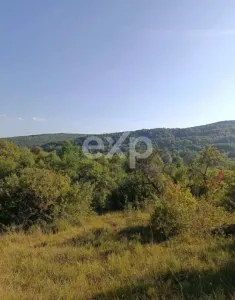 Teren extravilan de vânzare Tigveni | 4.944 mp | Panoramă superbă - foto 6