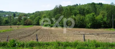 Teren intravilan 21.000 mp de vânzare – Suseni, Comuna Bogați, Județul Argeș - foto 2