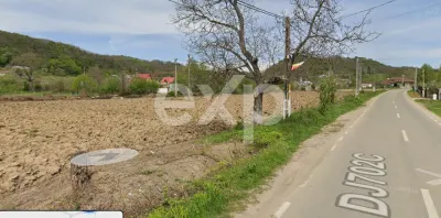 Teren intravilan 21.000 mp de vânzare – Suseni, Comuna Bogați, Județul Argeș - foto 12