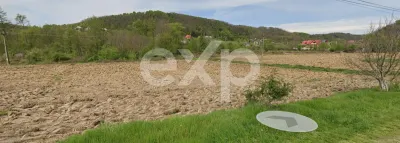 Teren intravilan 21.000 mp de vânzare – Suseni, Comuna Bogați, Județul Argeș - foto 14