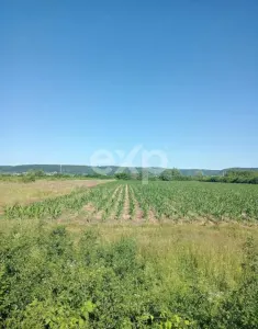 Teren 3.000 mp, zonă industrială Mioveni - Colibas – acces facil - foto 2