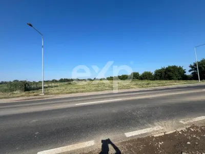 Teren intravilan premium 15.000 mp la DN61 lângă Centura Găești acces rapid A1 - foto 4