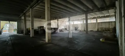 GIURGIU | Hala 5.000 mp | Acces TIR | Parcare TIR | Inaltime 7m - foto 6