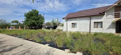 Vilă Impunătoare cu 9.800 mp Teren – Bungetu, Dâmbovița | Oază de Liniște - foto 3