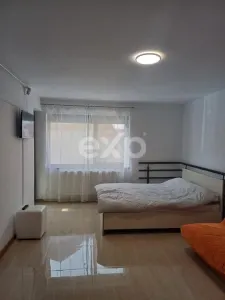 Inchiriere garsoniera Trivale ,bloc nou - foto 7