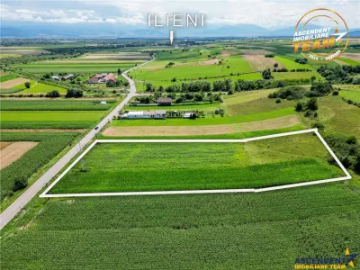 Oportunitate de investitie, PUZ aprobat: zona servicii - foto 3