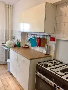 Apartament 3 camere | Blvd. Independenței -  5 minute de UMF | 550â‚¬ - foto 5