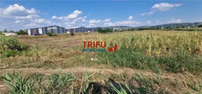 Teren intravilan 5.756 mp cu acces direct la Șoseaua de Centură – Alba Iulia, zonă industrială - foto 4